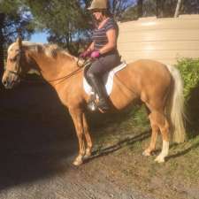 YASS RIDING SCHOOL | 138 Manton Rd, Manton NSW 2582, Australia