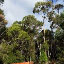 King Island Private Nature Reserve | 960 Pegarah Rd, Pegarah TAS 7256, Australia