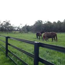 Duncan Equine Group | 158 Weddell Rd, North Geelong VIC 3215, Australia