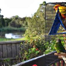 Melbourne Bird Boarding | 4 Pisa Ct, Doveton VIC 3177, Australia