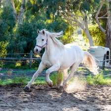 Happy Hooves Wanneroo | 643 Gnangara Rd, Lexia WA 6079, Australia