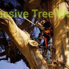 STC Tree Services | 1323 Arthur Hwy, Forcett TAS 7173, Australia