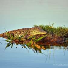 Croc Stop | Hinkler Cresent, Fannie Bay NT 0820, Australia