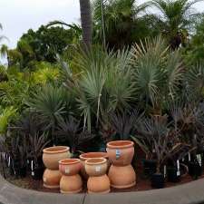 Palm Plantation | 34 Cardiff Ct, Cavan SA 5094, Australia