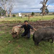 Big ears Animal Sanctuary | 31 Norwich Dr, Longford TAS 7301, Australia