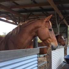 Equine Connection and Direction | Hatfield Rd, Eumundi QLD 4562, Australia