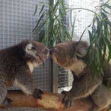Southern Koala Rescue | 102 Kimbley Rd, Onkaparinga Hills SA 5163, Australia