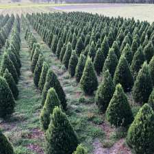 Shady Creek Christmas trees | 651 Darnum-Shady Creek Rd, Shady Creek VIC 3821, Australia