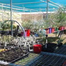 Allanooka Nursery | 665 Allanooka Springs Rd, Walkaway WA 6528, Australia