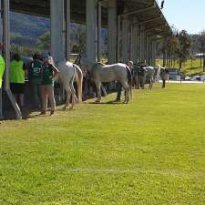 Stirling Endurance Arabians | Equestrian Complex, Stirlings Crossing, Derrier Rd, Imbil QLD 4570, Australia