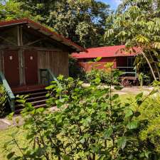 PK's Jungle Village | 3910 Cape Tribulation Rd, Cape Tribulation QLD 4873, Australia