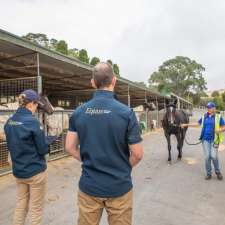 Equus Veterinary Services | 78 Fullwoods Rd, Mount Pleasant SA 5235, Australia