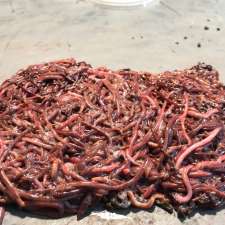 Macarthur Worms | 55 Junction Rd, Leumeah NSW 2560, Australia