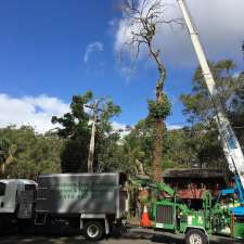 Greenbank Tree Services | 74 Elanora Rd, Elanora Heights NSW 2101, Australia