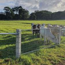 Australian Concrete Fence Posts | 354 Broadwater Rd, Dungarubba NSW 2480, Australia