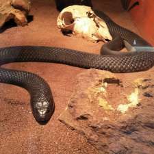 Armadale Reptile Park | 308/304 S Western Hwy, Mount Richon WA 6112, Australia