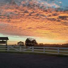 Maleny Trail parkrun | North Maleny QLD 4552, Australia