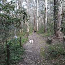 Japanese Garden | 48/38 Fagans Rd, Galston NSW 2159, Australia