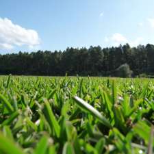 GoTurf Turf Suppliers Sunshine Coast | 434 Mekins Rd, Beerburrum QLD 4517, Australia