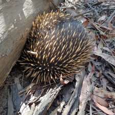 Happy Go Lucky Camp | Happy Go Lucky Rd, Walhalla VIC 3825, Australia