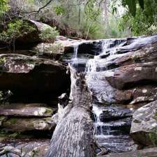 Palona Cave Track | Palona Cave Track, Royal National Park NSW 2233, Australia