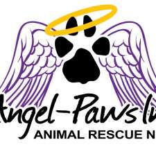 Angel-Paws Inc. | 2/3 Inglong St, Kelso QLD 4815, Australia