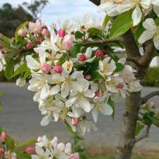 Eureka Fresh Produce | 674 Nowra Rd, Moss Vale NSW 2577, Australia