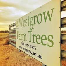 Westgrow Farm Trees | Quellington Rd, Meckering WA 6405, Australia