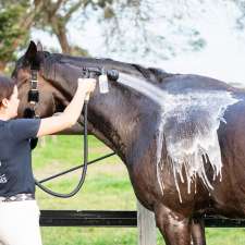 Soapy Ponies | Middle Rd, Pearcedale VIC 3912, Australia