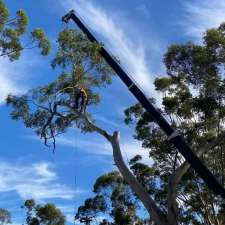 Expert Tree Removal | 19 Scarvell Ave, Mcgraths Hill NSW 2756, Australia