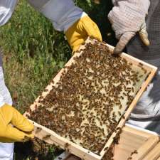 WildEarth Beekeeping | 521 Government Rd, Renmark West SA 5341, Australia