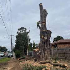 MC Tree services | Plenty Rd, Mill Park VIC 3082, Australia