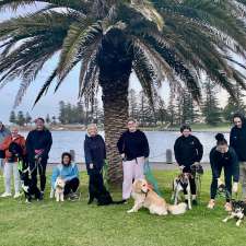 Unpacked Dog Education and Training | 35 Alexandra St, Berry NSW 2535, Australia