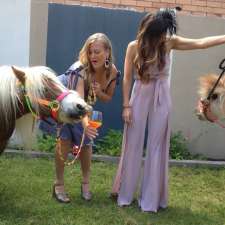 Melbourne's Pony Parties and Forest Rides | Broadford Rd, Flowerdale VIC 3717, Australia