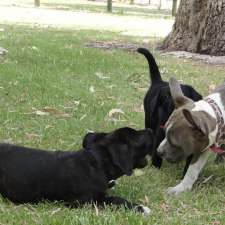 Dog Kennels & Training Perth - West Coast Pet Care | 49 Adams Rd, Mariginiup WA 6078, Australia