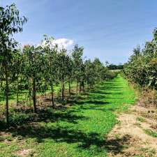 Sweet Farm Tours | 333 Miallo Bamboo Creek Rd, Whyanbeel QLD 4873, Australia