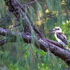 Brampston Beach Campground | Bramston Beach QLD 4871, Australia