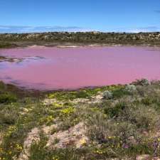 Pink Lake Buggy Tours | 13 Sanford St, Gregory WA 6535, Australia