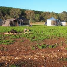 Long Gully Camping Ground | Delatite Plantation Rd, Lake Eildon VIC 3713, Australia