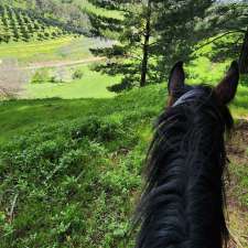 Braeside trails and equestrian services | Upon enquiry, Cudlee Creek SA 5232, Australia