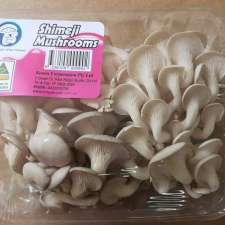 Kenon Mushrooms 버섯공장 | 2 Belair Cl, Park Ridge South QLD 4125, Australia