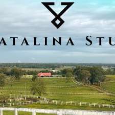 Catalina Stud | 165 Grose Vale Rd, North Richmond NSW 2754, Australia