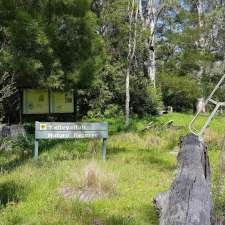 Yatteyattah Nature Reserve | Yatte Yattah NSW 2539, Australia