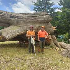 Tree Doctor Tasmania | 148 Don Rd, Stony Rise TAS 7310, Australia