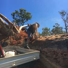 SLABNBURL HARDWOODS | 991 Perup Rd, Balbarrup WA 6258, Australia