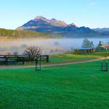 Lillydale Natural Angus Beef | LOT 2 Mount Barney Rd, Barney View QLD 4287, Australia