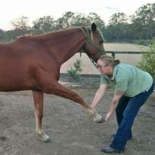 Wide Bay Equine Therapies | Seccombes Rd, Degilbo QLD 4621, Australia