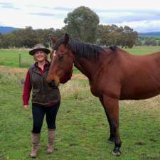 Bellview Connection Equine Assisted Therapy & Counselling | 258 Glue Pot Rd, Pomonal VIC 3381, Australia