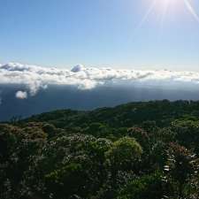 Eastern Summit Camping Area | Wooroonooran QLD 4860, Australia