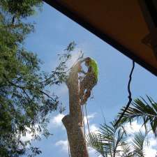 Dazza's Tree Services | East, 3 Belbin St, Goodna QLD 4300, Australia